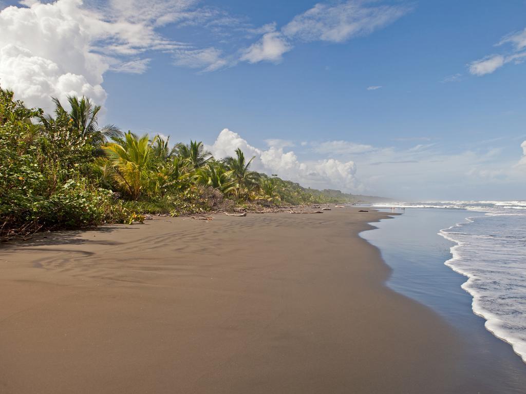 Hotel Caribbean Coconut Cahuita Exterior photo