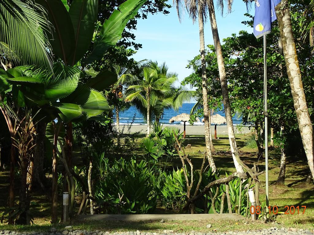 Hotel Caribbean Coconut Cahuita Exterior photo
