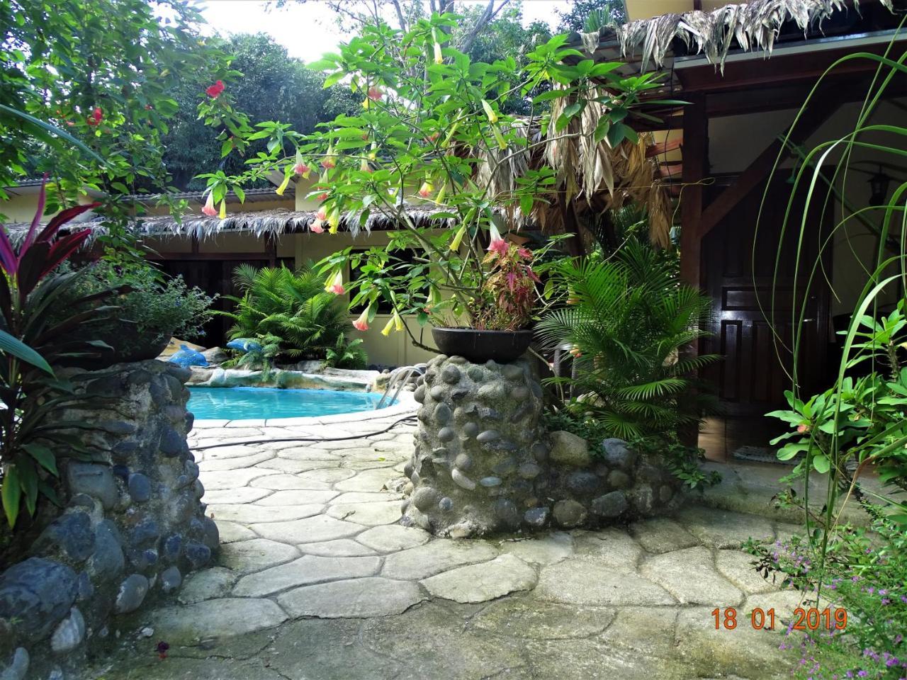 Hotel Caribbean Coconut Cahuita Exterior photo