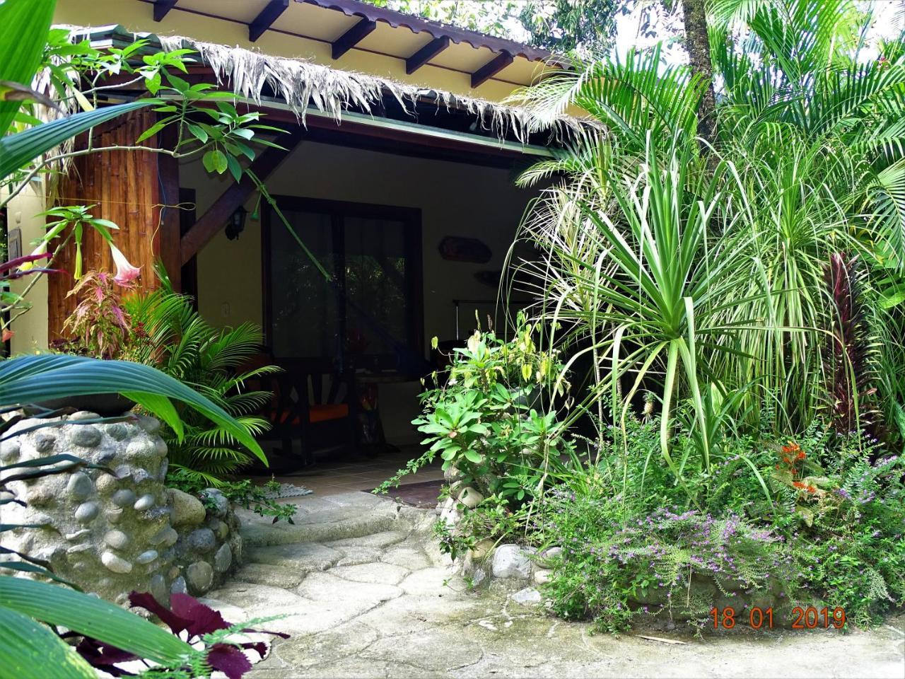 Hotel Caribbean Coconut Cahuita Exterior photo