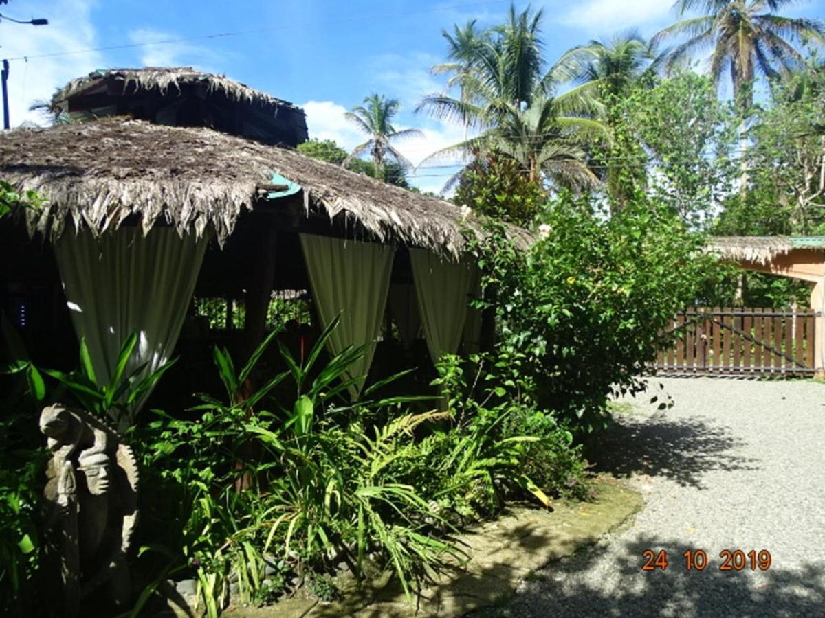 Hotel Caribbean Coconut Cahuita Exterior photo